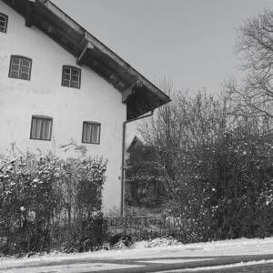 Schwarz-Weiß-Foto eines bestehenden Gebäudes mit Hecke